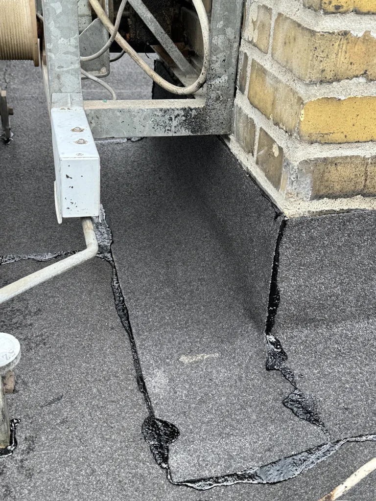 Nyt tagpaptag i København